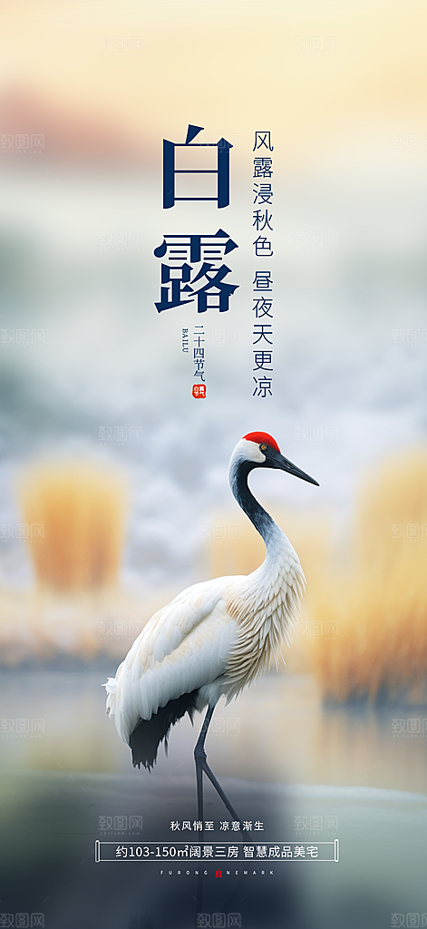 传统白露二十四节气海报