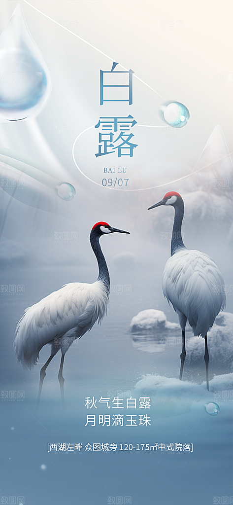 传统白露二十四节气海报