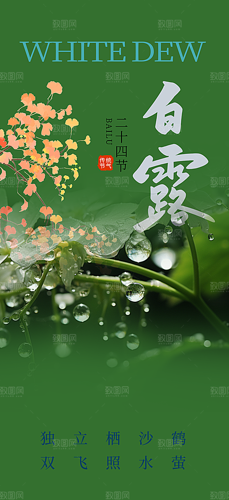 传统白露二十四节气海报