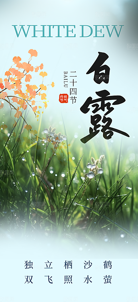 传统白露二十四节气海报