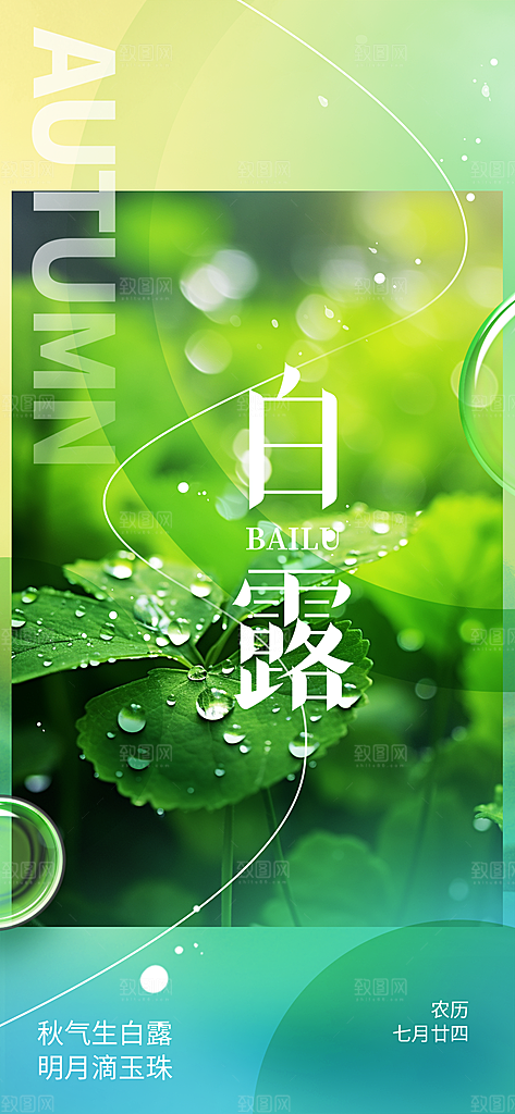 简约风传统白露二十四节气海报