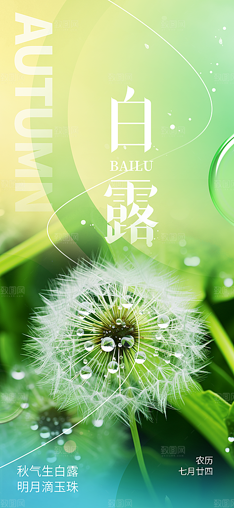 简约风传统白露二十四节气海报