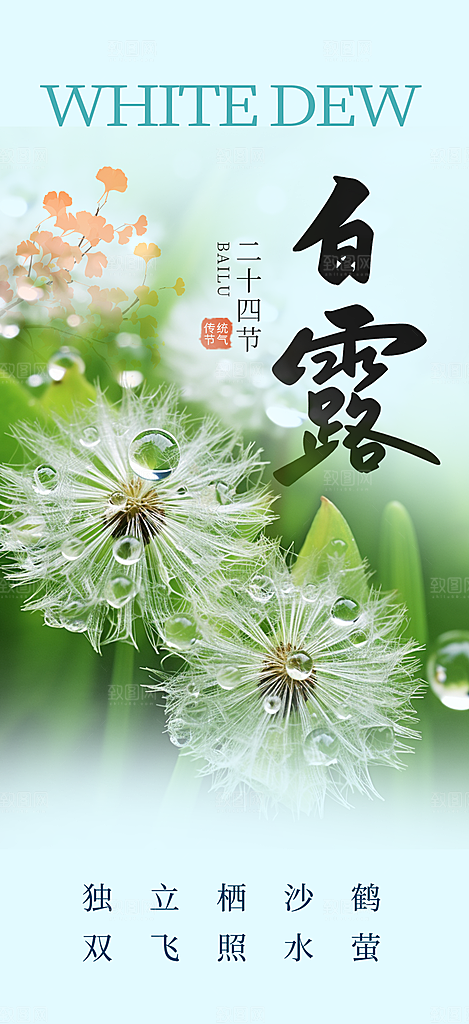 简约风传统白露二十四节气海报