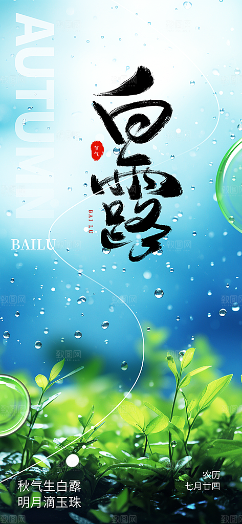 简约风传统白露二十四节气海报