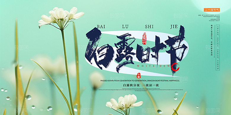 白露二十四节气展板