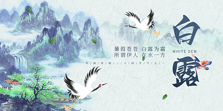 白露二十四节气展板