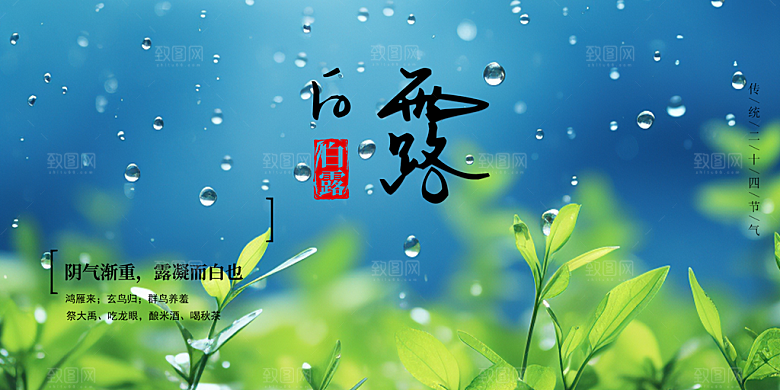 白露二十四节气展板
