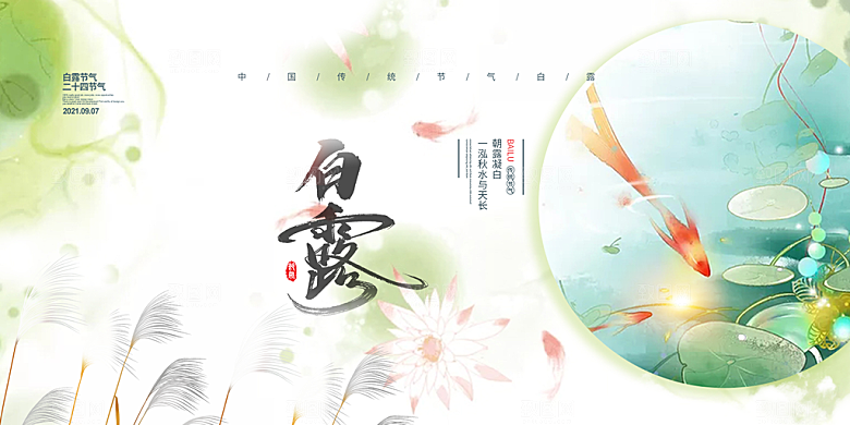 白露二十四节气展板