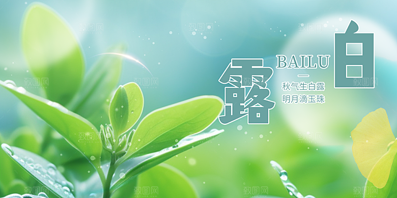传统白露二十四节气展板
