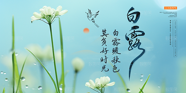 传统白露二十四节气展板