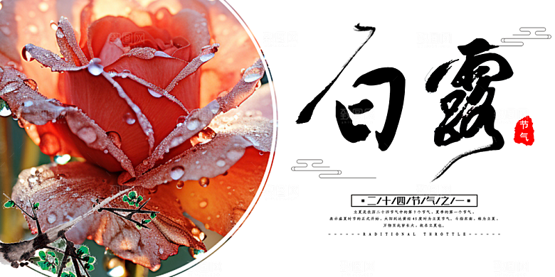 简约风传统白露二十四节气展板