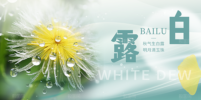 简约风传统白露二十四节气展板