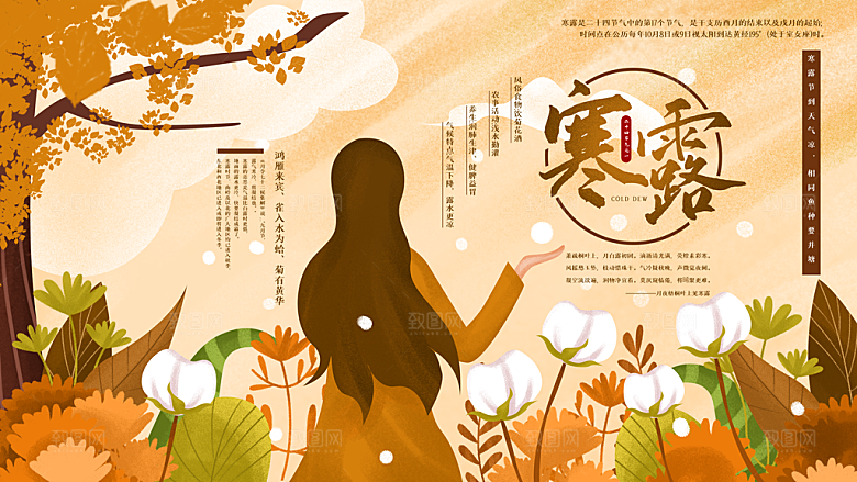 传统节气寒露海报模版