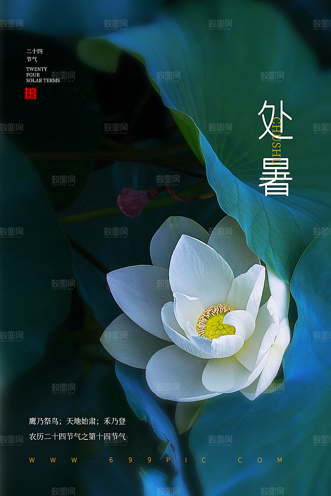 二十四节气处暑海报