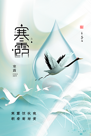传统节气寒露海报模版