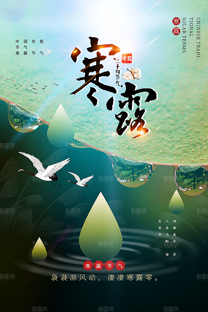 寒露节气简约大气海报
