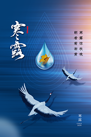 寒露节气简约大气海报