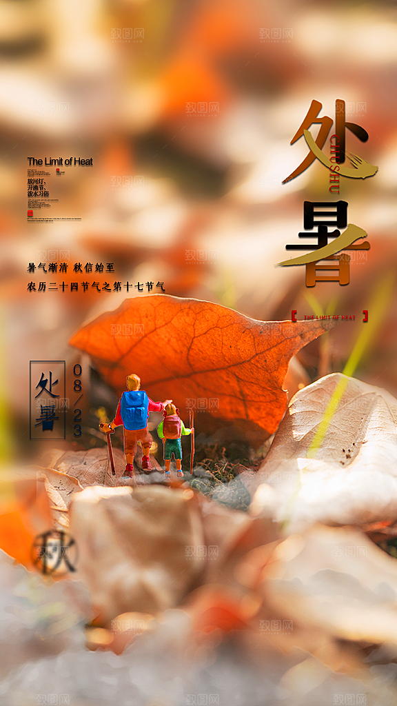 二十四节气传统节日处暑宣传海报