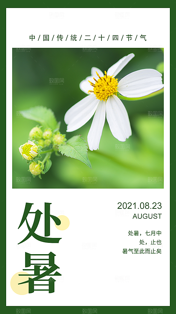 二十四节气传统节日处暑宣传海报