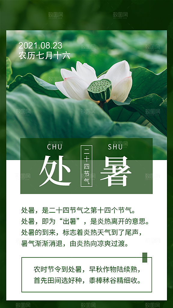 二十四节气传统节日处暑宣传海报