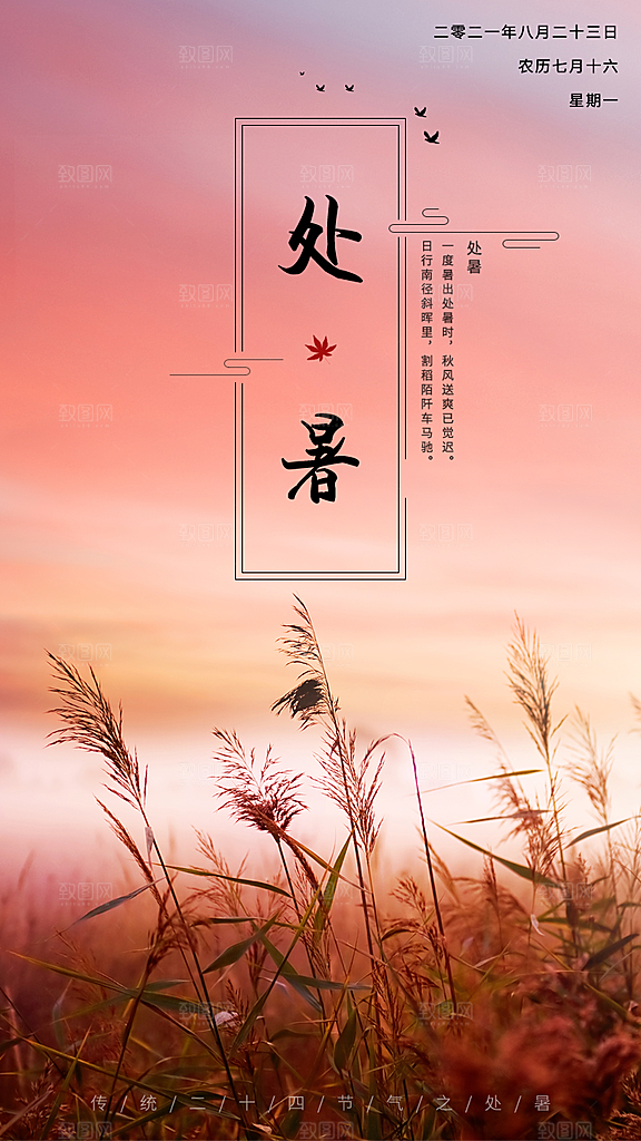 二十四节气传统节日处暑宣传海报