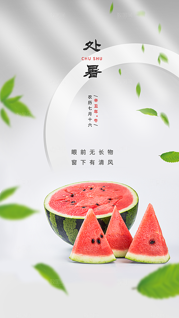 二十四节气传统节日处暑宣传海报
