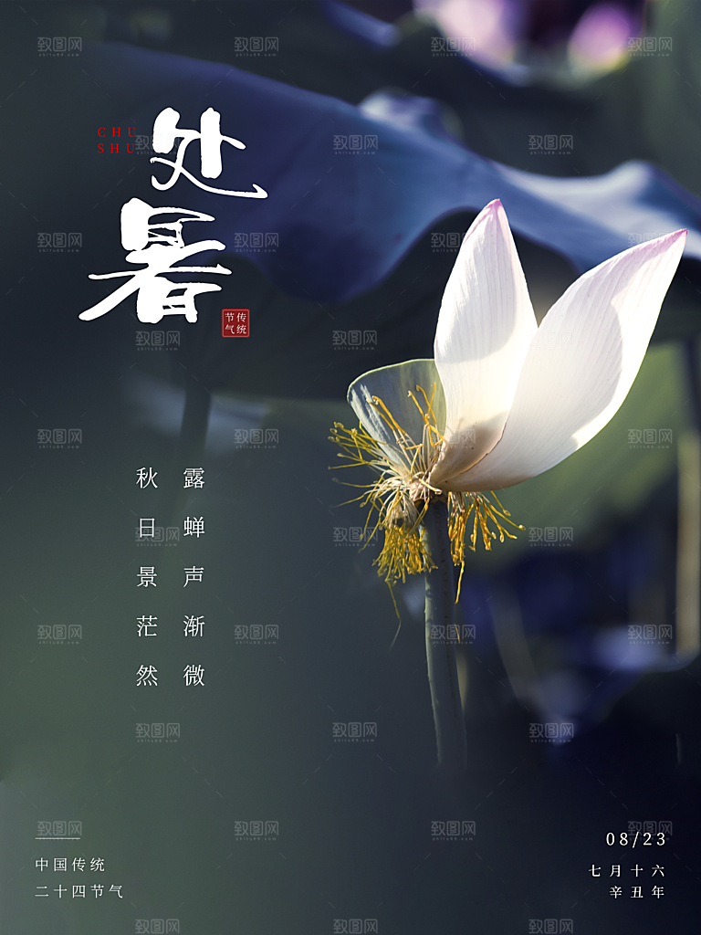 二十四节气传统节日处暑宣传海报