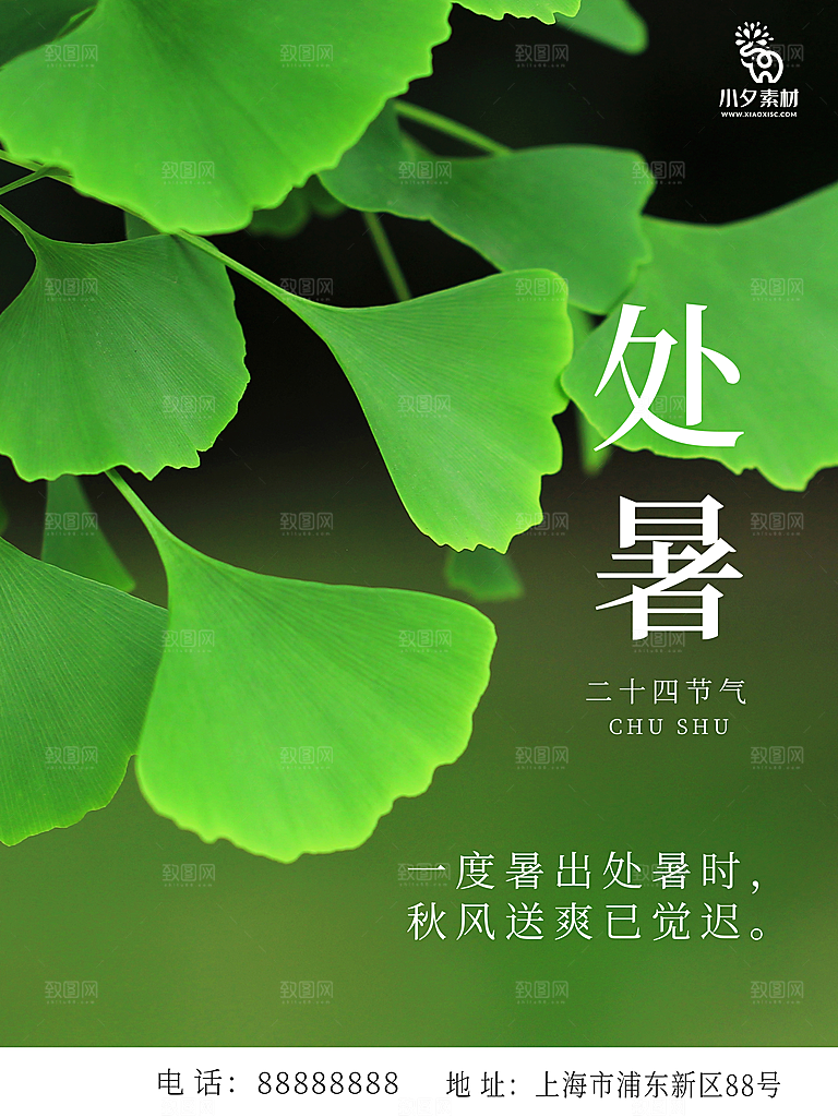 二十四节气传统节日处暑宣传海报