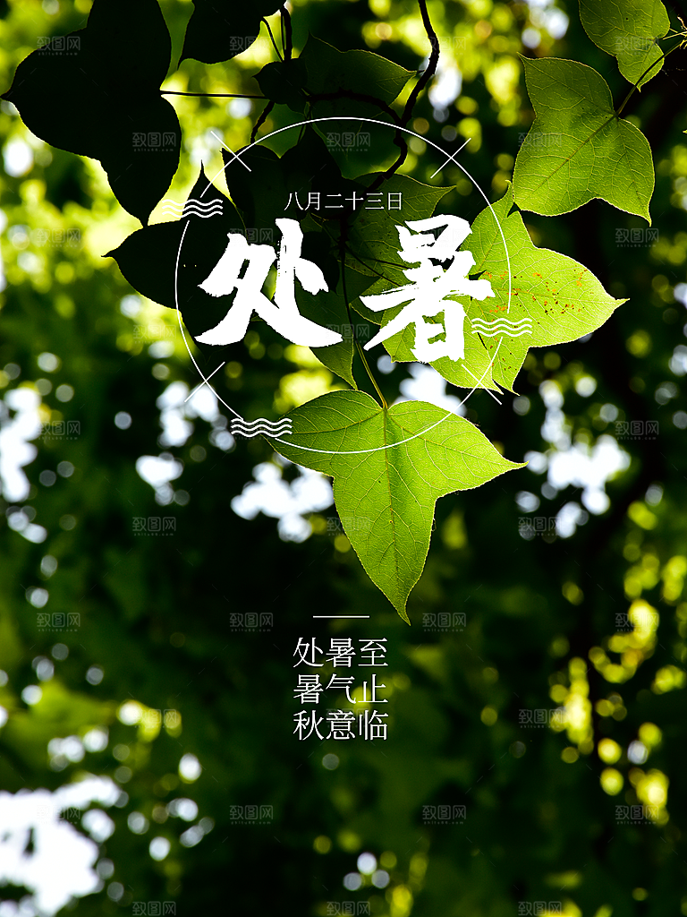 二十四节气传统节日处暑宣传海报