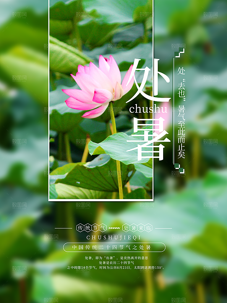 二十四节气传统节日处暑宣传海报