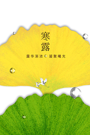 简约大气寒露节气海报