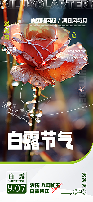 大气传统白露二十四节气海报