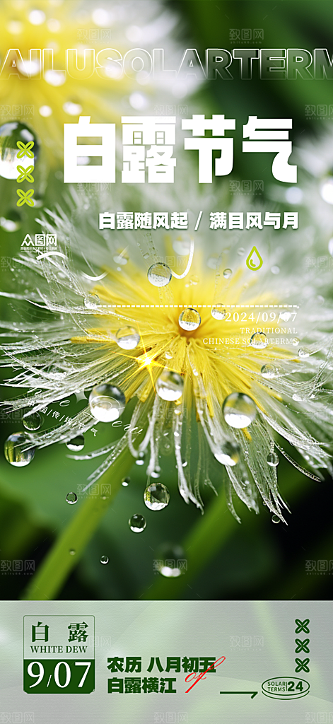 大气传统白露二十四节气海报
