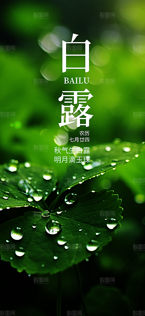 大气传统白露二十四节气海报