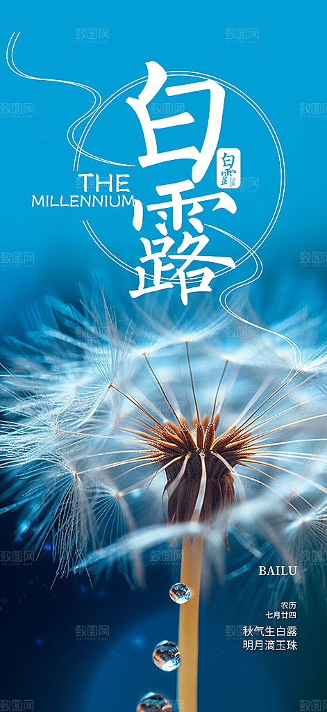 大气传统白露二十四节气海报