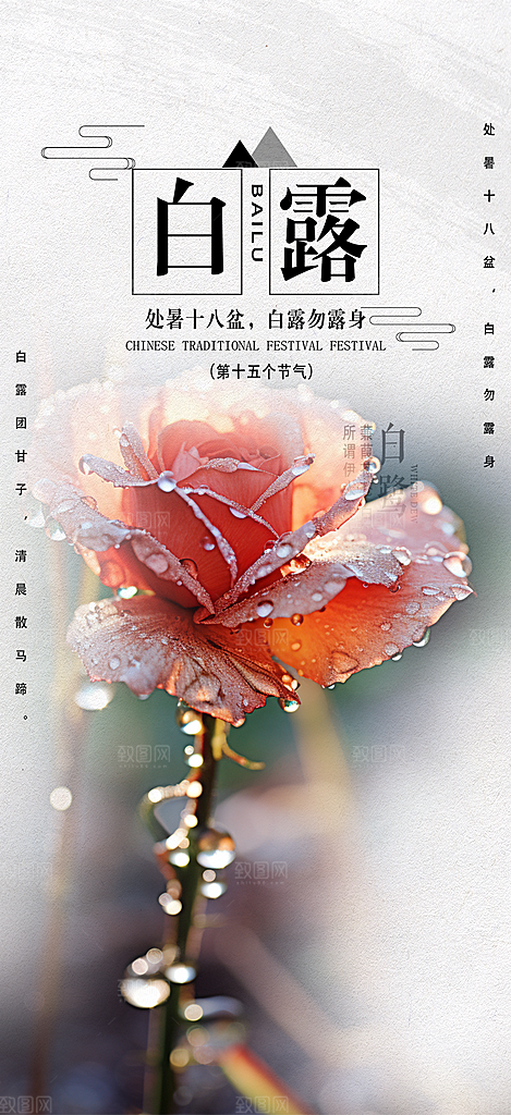 大气传统白露二十四节气海报