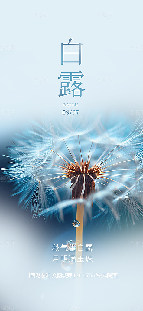 白露二十四节气海报