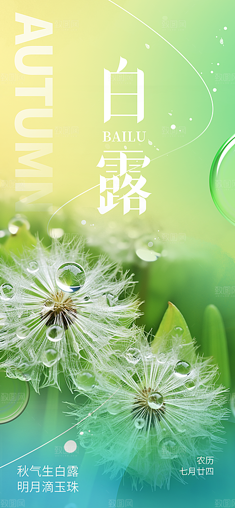 白露二十四节气海报