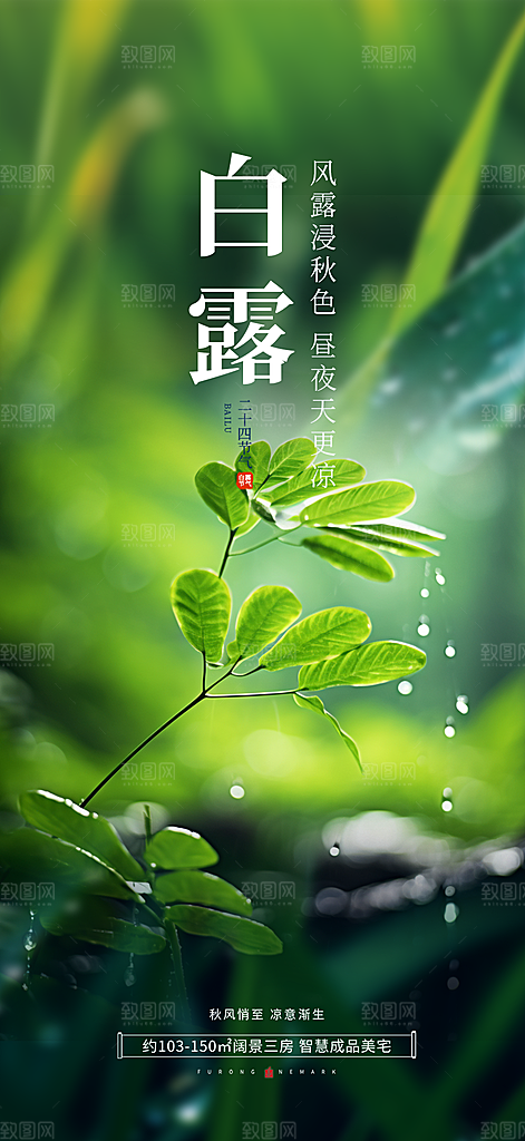 白露二十四节气海报