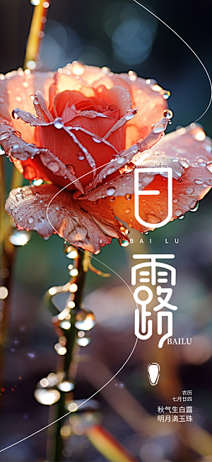 白露二十四节气海报