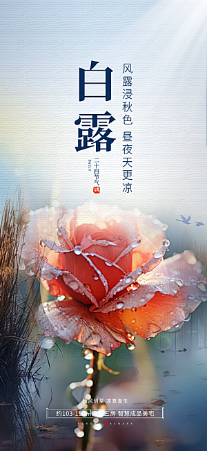 白露二十四节气海报
