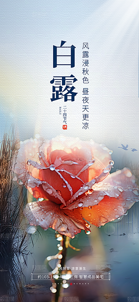 白露二十四节气海报