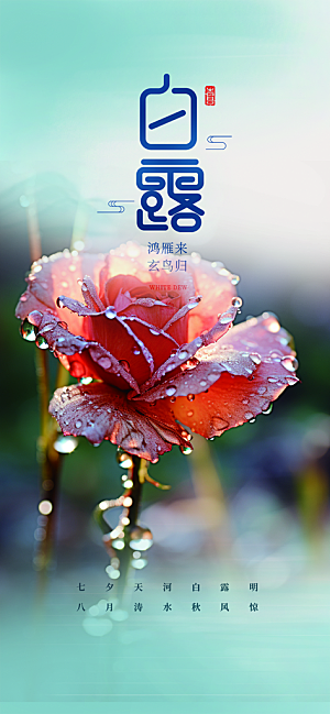 白露二十四节气海报