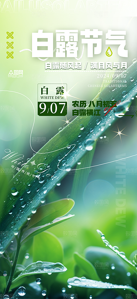 传统白露二十四节气海报