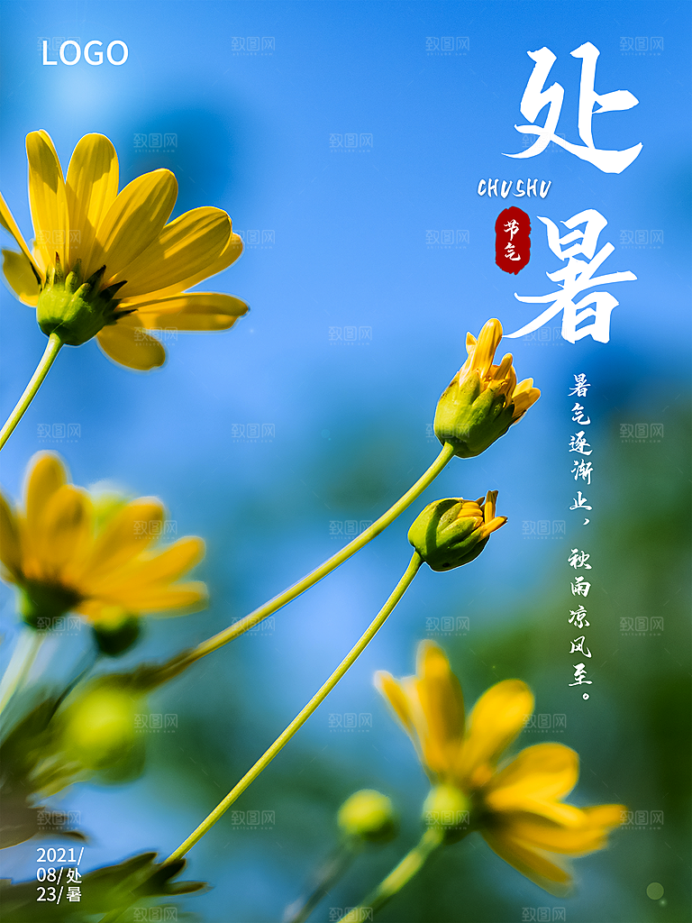 二十四节气传统节日处暑宣传海报