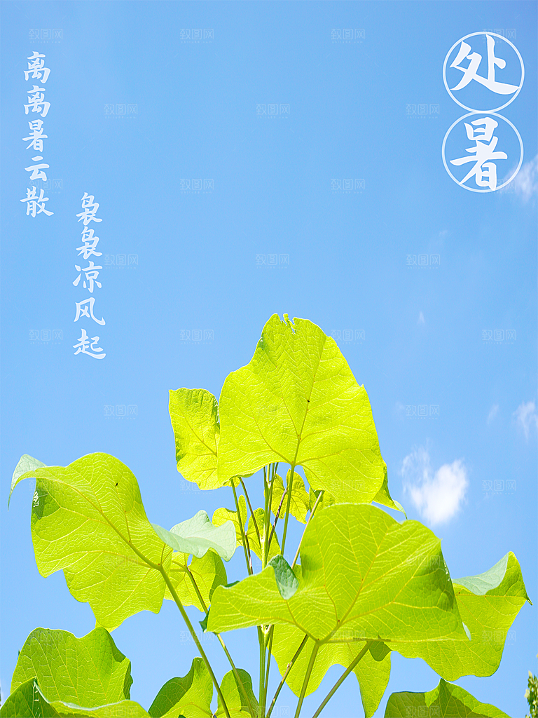 二十四节气传统节日处暑宣传海报