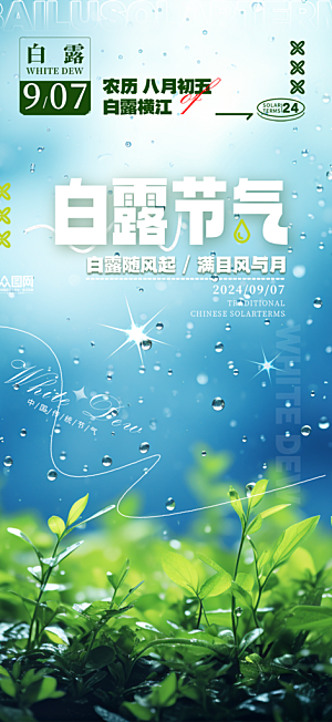 传统白露二十四节气海报