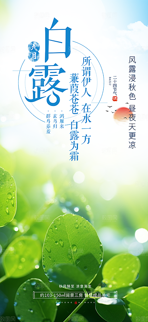 大气传统白露二十四节气海报