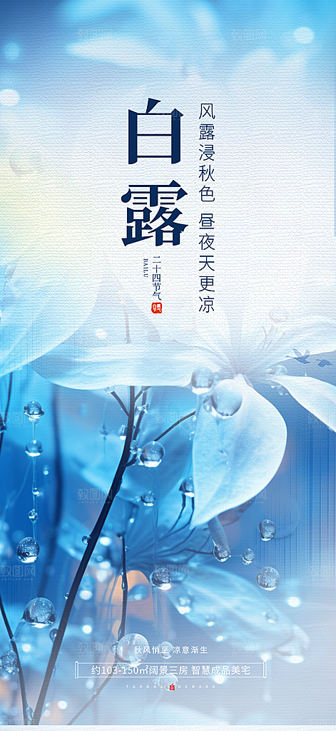 大气传统白露二十四节气海报