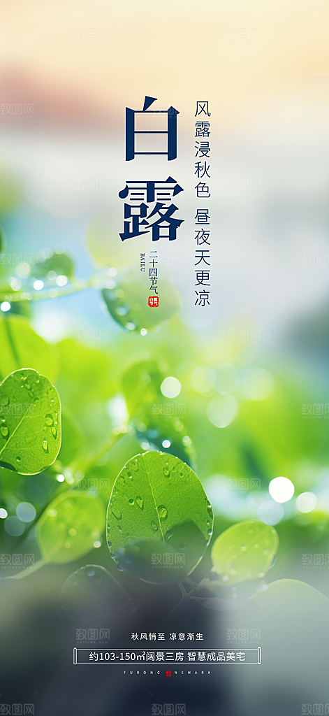 大气传统白露二十四节气海报